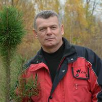 Отзыв от Глеб - DTV виза